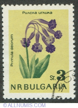 3 Stotinki 1963 - Rila Primrose (Primula deorum)