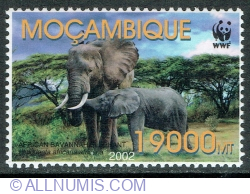 Image #1 of 19000 Meticals 2002 - African Elephant