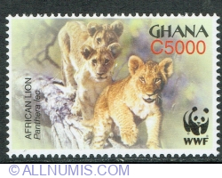 Image #1 of 5000 Cedis 2004 - African Lion