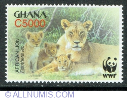 Image #1 of 5000 Cedis 2004 - Leu African