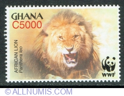 5000 Cedis 2004 - African Lion