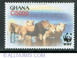 Image #1 of 5000 Cedis 2004 - African Lion