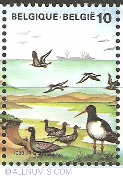 Image #1 of 10 Francs 1988 - Sea Birds