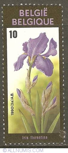 Image #1 of 10 Francs 1990 - Floralies of Ghent - Iris Florentina
