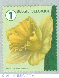 Image #1 of "1" 2016 - Daffodil