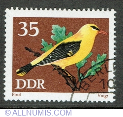 Image #1 of 35 Pfennig 1973 - Golden Oriole (Oriolus oriolus)