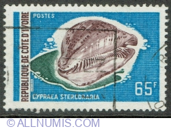 Image #1 of 65 Francs 1972 - Rat Cowry (Cypraea stercoraria)