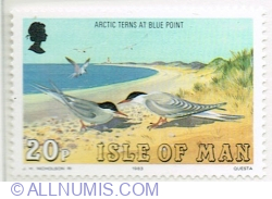 20 Pence 1983 - Arctic Tern (Sterna paradisaea), Blue Point