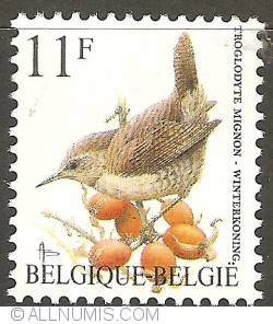 Image #1 of 11 Francs 1992 - Eurasian Wren