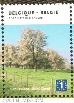 Image #1 of 1 Europe 2010 - Haspengouw: Trees at Sint-Truiden