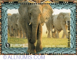 Image #1 of 1 Europe 2016 - African Elephant (Loxodonta africana)
