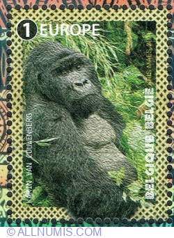Image #1 of 1 Europe 2016 - Mountain Gorilla (Gorilla beringei beringei)