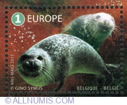 Image #1 of 1 Europe 2017 - Grey and harbour seal