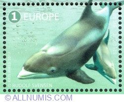 Image #1 of 1 Europe 2017 - White-beaked dolphin