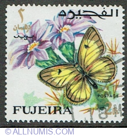 Image #1 of 2 Riyal 1967 - African Clouded Yellow (Colias electo) - Male