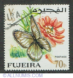 Image #1 of 70 Dirham 1967 - African Clouded Yellow (Colias electo) - Female