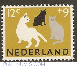 12 + 9 Cent 1964 - Cats