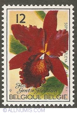 Image #1 of 12 Francs 1985 - Floralies of Ghent - Orchids - Sophrolaeliocattleya Riffe "Burlingame"