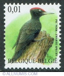 Image #1 of 0.01 Euro 2009 - Black Woodpecker (Dryocopus martius)
