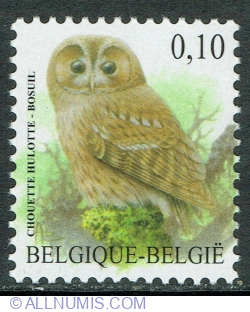 0.10 Euro 2009 - Tawny Owl (Strix aluco)