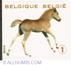 Image #1 of "1" 2010 - Foal