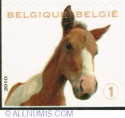 Image #1 of "1" 2010 - Foal