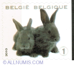 "1" 2010 - Rabbits