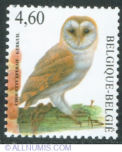 Image #1 of 4.60 Euro 2010 - Bufniță comună (Tyto alba)