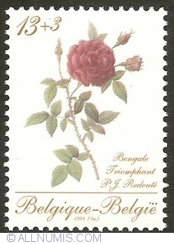 Image #1 of 13 + 3 Francs 1988 - Roses of P.J. Redouté - Bengale Triomphant