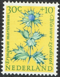 Image #1 of 30 + 10 Cent 1960 - Sea Holly