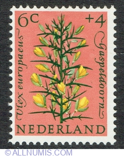 6 + 4 Cents 1960 - Gorse