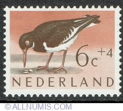Image #1 of 6 + 4 Cents 1961 - Eurasian Oystercatcher