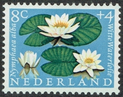 8 + 4 Cents 1960 - Water Lily