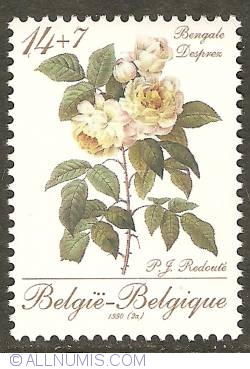 Image #1 of 14 + 7 Francs 1990 - Roses of P.J. Redouté - Bengale Desprez