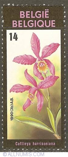 Image #1 of 14 Francs 1990 - Floralies of Ghent - Cattleya Harrisoniania