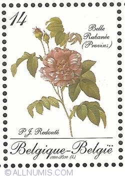Image #1 of 14 Francs 1990 - Roses of P.J. Redouté - Belle Rubanée