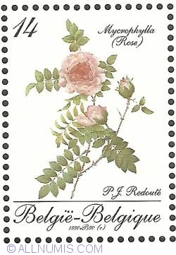 Image #1 of 14 Francs 1990 - Roses of P.J. Redouté - Mycropylla
