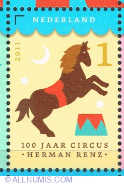 Image #1 of 1° 2011 - Circus horse