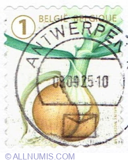 "1" 2022 - Onion