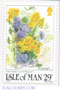 29 Pence 1987 - Field scabious (Knautia arvensis), Ragwort (Senecio jacobaea)