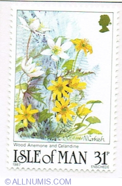 31 Pence 1987 - Wood anemone (Anemone nemorosa), Celandine (Ranunculus ficaria)