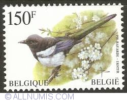 Image #1 of 150 Francs 1997 - Eurasian Magpie