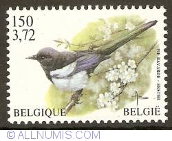 Image #1 of 150 Francs / 3,72 Euro - Eurasian Magpie