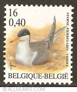 16 Francs / 0,40 Euro 2001 - Common Tern