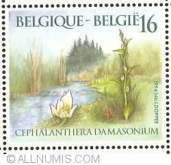 16 Francs 1994 - Cephalanthera Damasonium