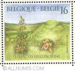 Image #1 of 16 Francs 1994 - Epipactis Helleborine