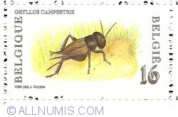 Image #1 of 16 Francs 1996 - Gryllus Campestris