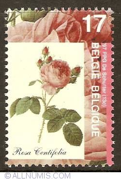 Image #1 of 17 Francs 1997 - Rosa Centifolia