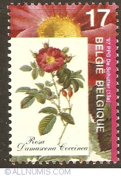 Image #1 of 17 Francs 1997 - Rosa Damascena Coccinea