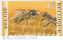 Image #1 of 17 Francs 1997 - Workbee feeding a Male Bee